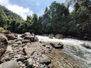 Sungai dalam perjalanan ke Nyarai